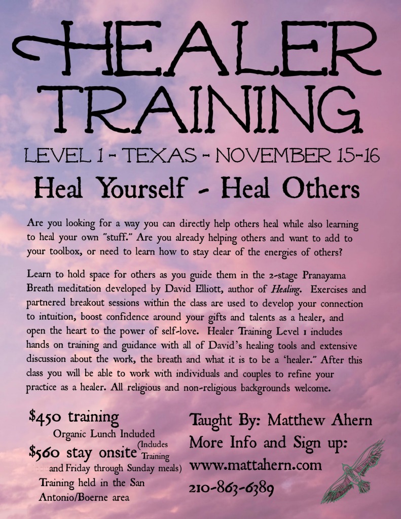 Healer Training Level 1 Boerne Matt final1